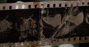Nitrate FIlm - Decomposition